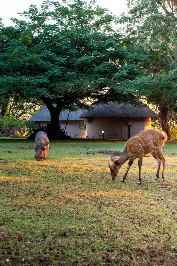Chobe Safari Lodges Kasane Exterior photo